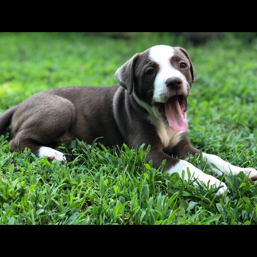 Meet your Posher, Meghan